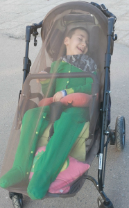 Москитная сетка Lavli