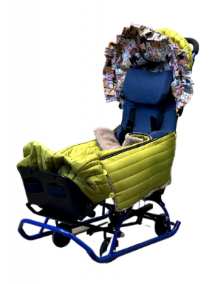 Санки для детей с ДЦП Raft Bike