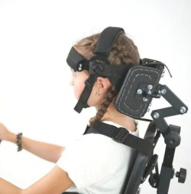 Подголовник