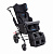  Прогулочная коляска РЕЙСЕР ЕВО БОДИМАП